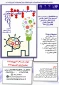 اطلاع رسانی