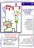 اطلاع رسانی 2