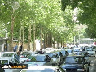 برگزاری مراسم راهپیمایی با ماشین توسط کارکنان دانشگاه فنی و حرفه ای استان کرمانشاه 
 5