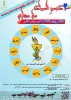 برگزاری دومین المپیاد مهارتی دانشجویان دانشگاههای سراسر کشور توسط دانشگاه جامع علمی کاربردی
 2