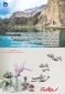 پیام تبریک سال نو
