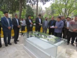 مراسم غبار روبی و عطر افشانی مزار شهید گمنام دانشگاه فنی و حرفه ای استان کرمانشاه
 5