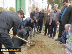 توسط رئیس دانشگاه ملی مهارت استان کرمانشاه انجام شد
کاشت نهال در محوطه دانشگاه ملی مهارت استان 
 3
