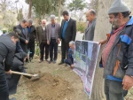 توسط رئیس دانشگاه ملی مهارت استان کرمانشاه انجام شد
کاشت نهال در محوطه دانشگاه ملی مهارت استان 
 7